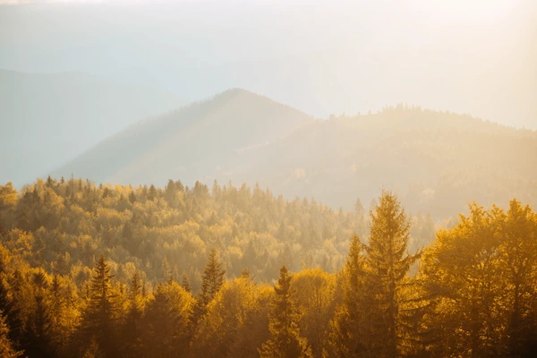 Soft abstract landscape with gentle hills and a calm open sky, representing mental clarity